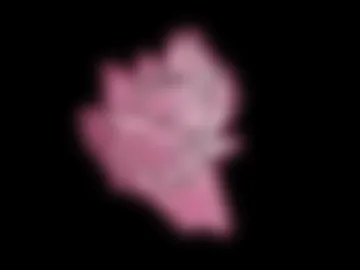 mxannierose live webcam preview