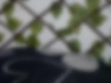 mynegrito001 photo 5