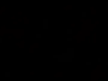 nadipaige webcam preview