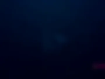 nala_j08 webcam preview