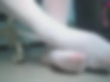 naoki_cd live webcam preview