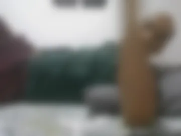 naslikme live webcam preview