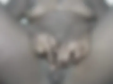 nastyebony202 live webcam preview