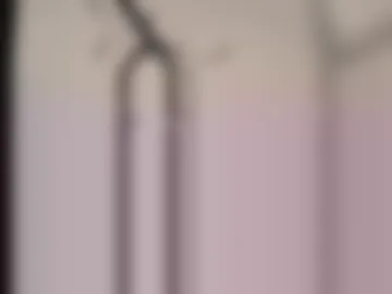 nathan_and_sam webcam preview
