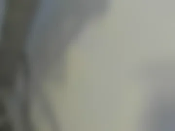 natyx_01 live webcam preview