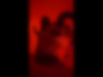 needsbemet live webcam preview