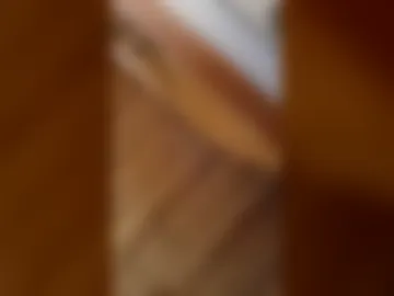 neekeriherra live webcam preview