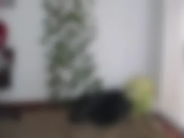 nel_26 live webcam preview