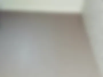 neonsakura webcam preview