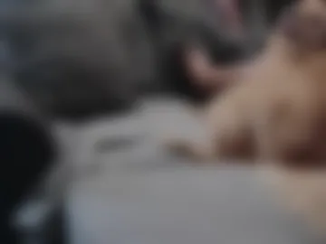 nerdsondisplay live webcam preview