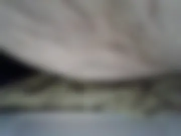 netx2591 live webcam preview