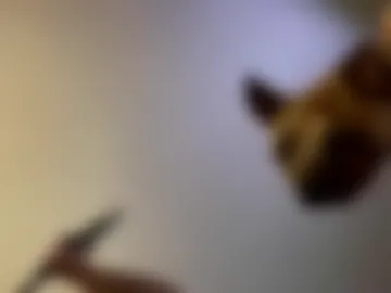 neverwinter44 photo 5