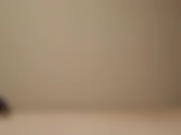 newlife420gang live webcam preview