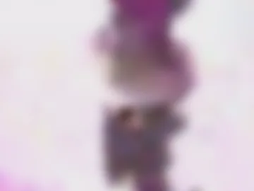 newlove10 live webcam preview