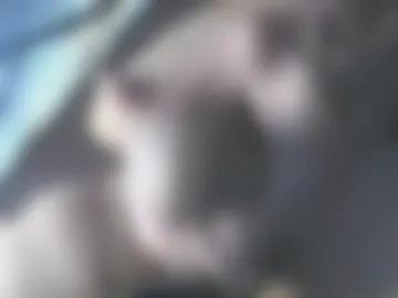nfgwholoves2cum webcam preview