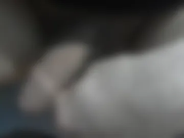 ni983 live webcam preview