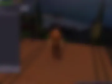 niavlys1709 live webcam preview