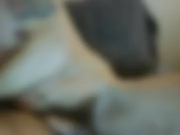 nicebisex32ge webcam preview