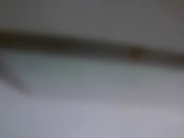 nicholaastavrou1977066464511 photo 7