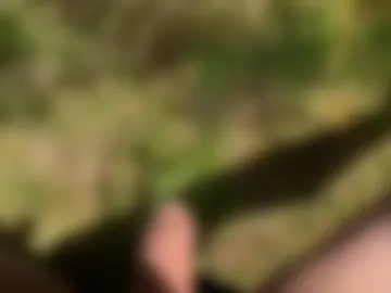 nicle12 live webcam preview