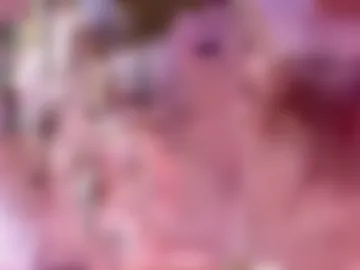 nicoledollyxx photo 6