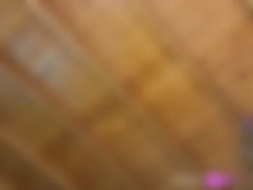 nicollbashel photo 7