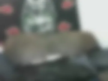 night_watchman photo 2