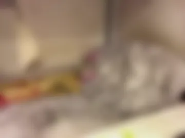 nikolasbucks photo 5