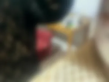 ninawhisper2 photo 2