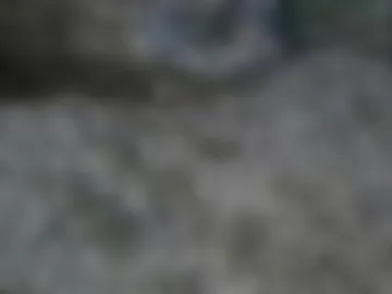 nineinchhard photo 4