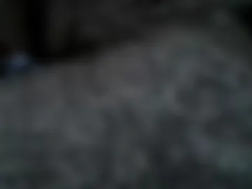 nineinchhard photo 3