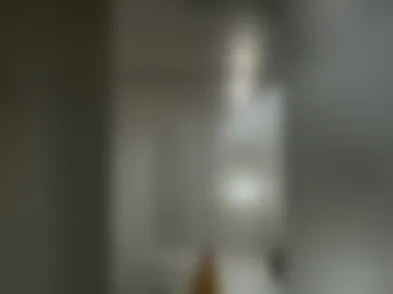 nn199502 live webcam preview