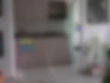 noahh_th03 webcam preview