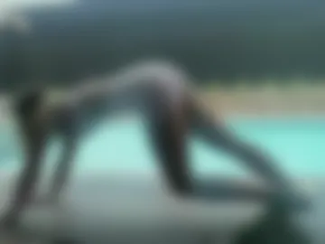 noapalmerr photo 2