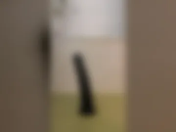 noel171099 live webcam preview