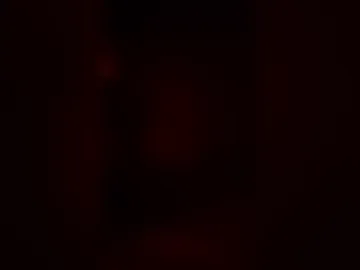 nonerere live webcam preview