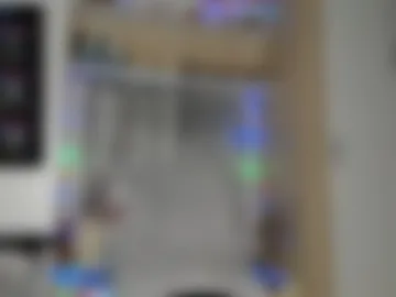 north_stallion photo 5