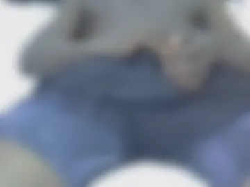 northboi66 webcam preview