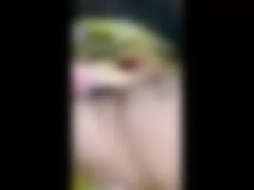 nqdjydcxqzzu photo 2