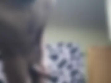 ntomana live webcam preview