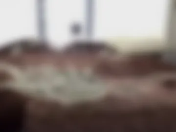 nuevotiempo webcam preview