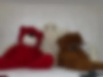 nycolequinn photo 7