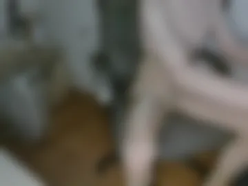 nyl0nnickb0y live webcam preview