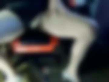 nylondream999 live webcam preview