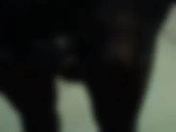 nylonslutbitch photo 3
