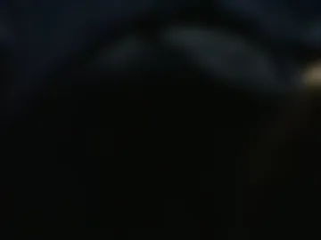 obahiro823844 photo 4