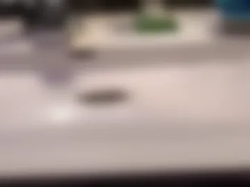 obsidiantouch live webcam preview
