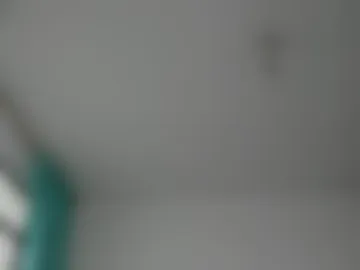 oh_holly webcam preview