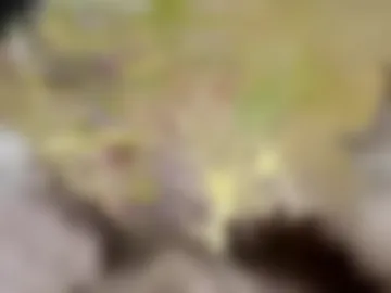 olderadventurous live webcam preview