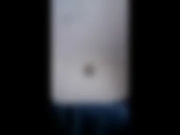omercock1 photo 3